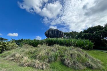 imagem de um jardim com uma grande pedra que se parece com uma cebola