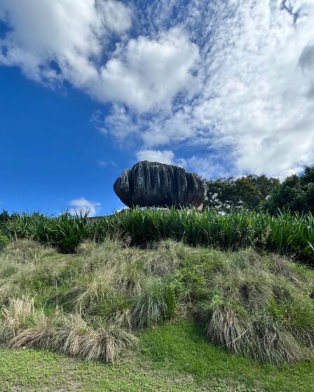 imagem de um jardim com uma grande pedra que se parece com uma cebola