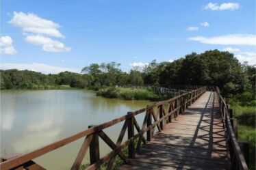 caminho construido em madeira para caminhar sobre um lago em um parque em ji paraná