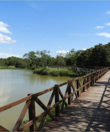 caminho construido em madeira para caminhar sobre um lago em um parque em ji paraná