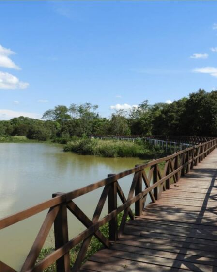 caminho construido em madeira para caminhar sobre um lago em um parque em ji paraná