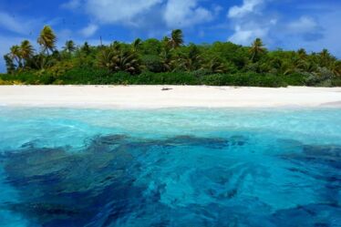 mar com água cristalina, areia branca e uma bela vegetação com árvores ao fundo