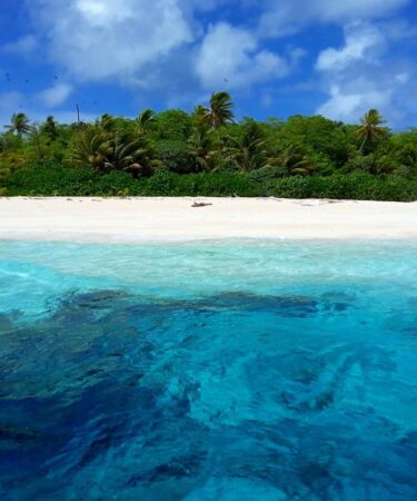 mar com água cristalina, areia branca e uma bela vegetação com árvores ao fundo