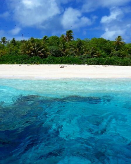 mar com água cristalina, areia branca e uma bela vegetação com árvores ao fundo